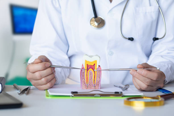 Best Root Canal Emergency Dentist  in Bentonville, AR